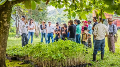Pest Arrest + One Tree Planted Photo