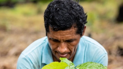 Pest Arrest + One Tree Planted Photo
