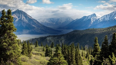 Pest Arrest + One Tree Planted Photo