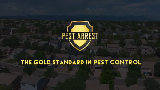 PEST ARREST VO version - V1.