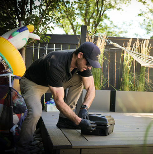 Pest Control Treatments