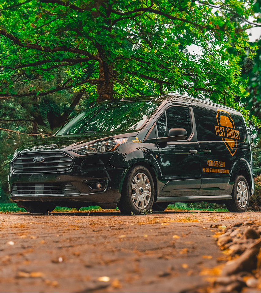 Arrest System Gold Package