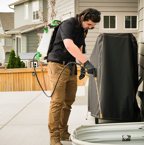 Preventative Rodent Treatment