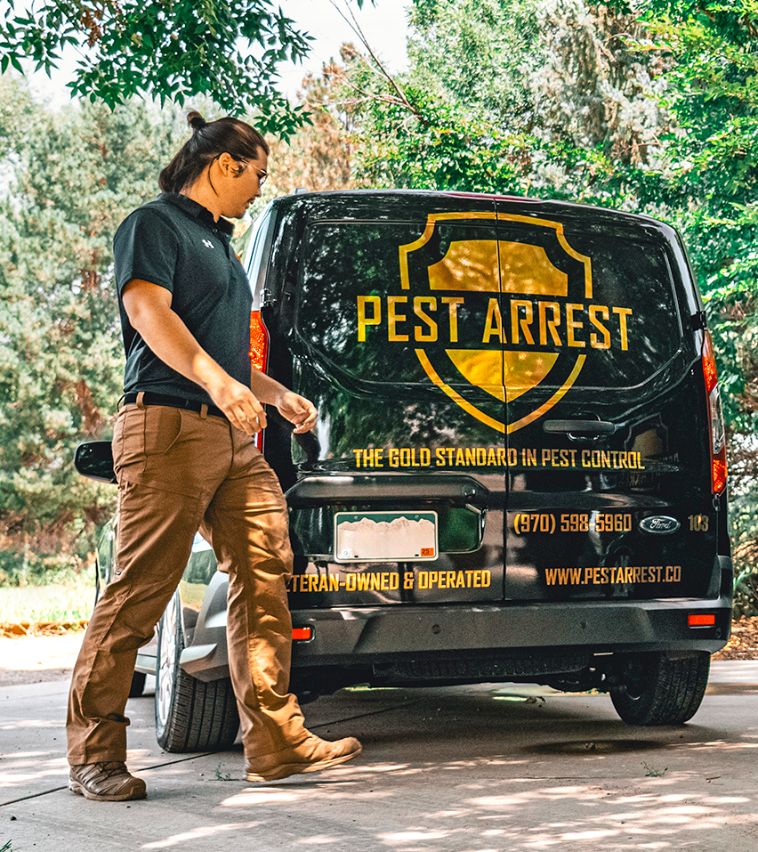 Arrest System Silver Package