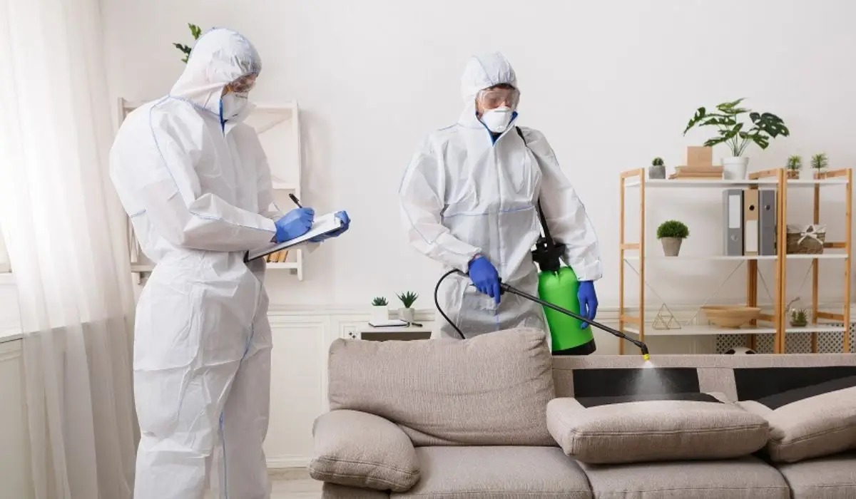 Pest Control Services
