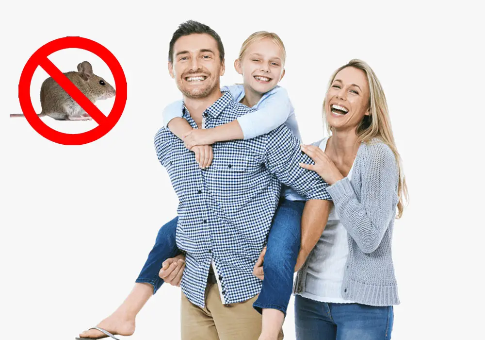 Get Rid Of Mice To Keep Your Family Safe