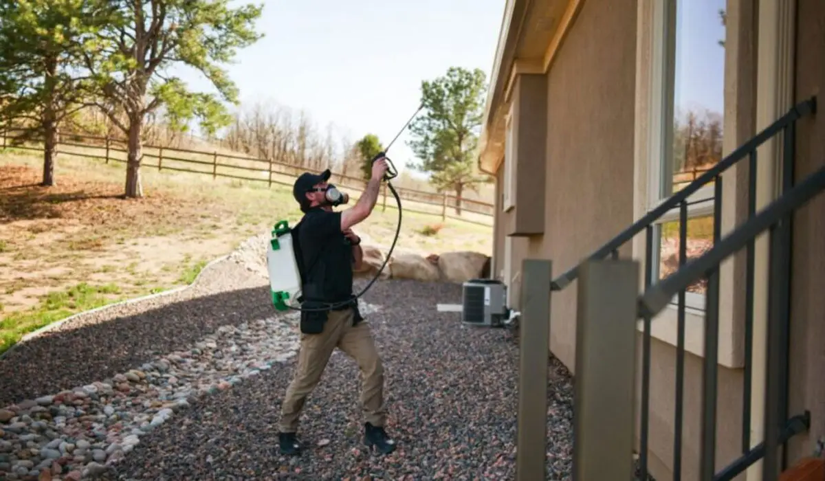 pest control professional exterminating outside of the house