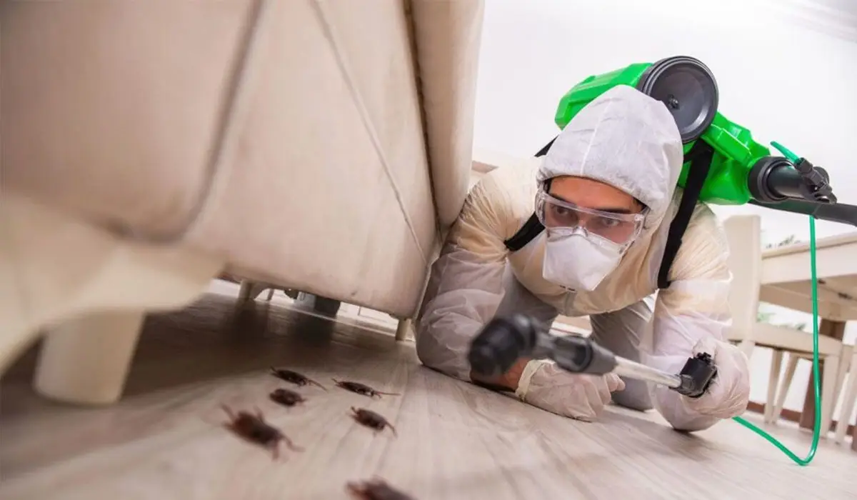 pest exterminator killing cockroaches