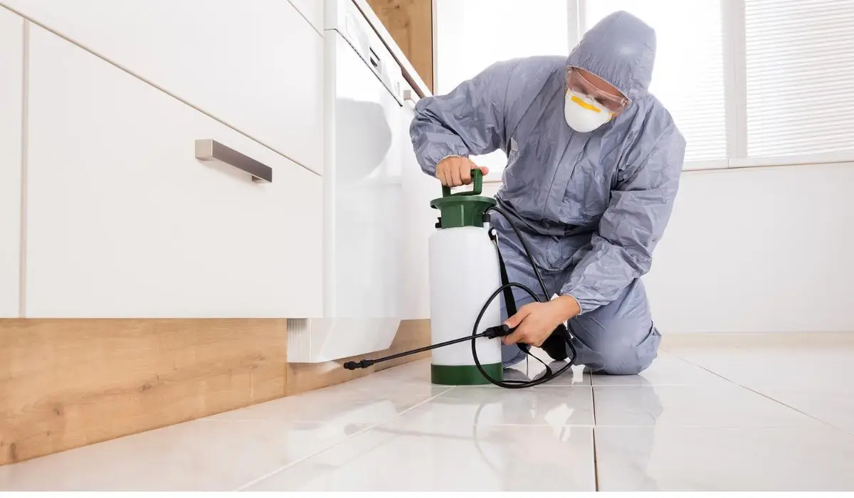 How To Choose A Colorado Pest Control Company