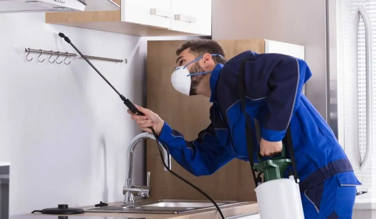 Proactive Spider Control Solutions